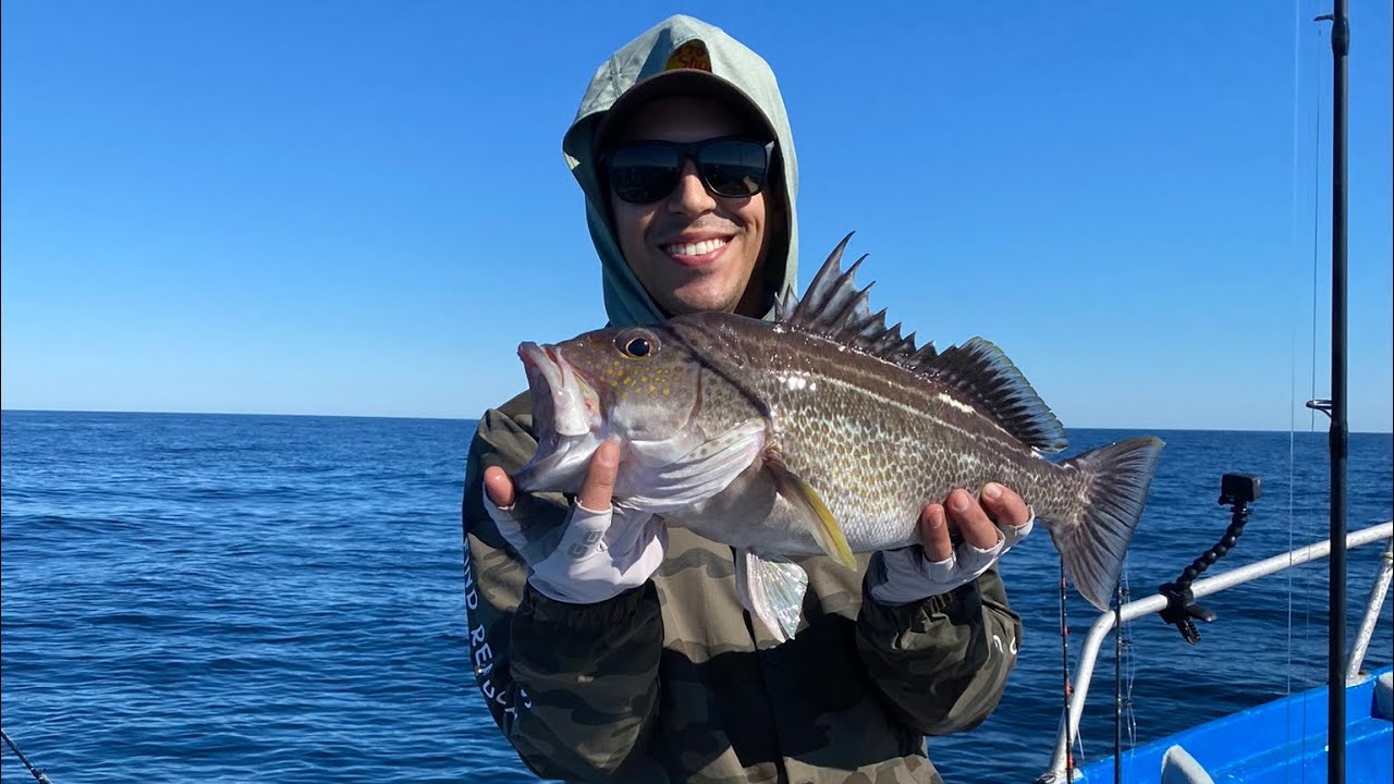 Pesca de jureles y cabrillas extranjeras en San Luis Gonzaga B.C.