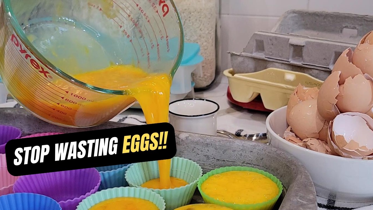 What You Need to Know to Freeze Chicken Eggs
