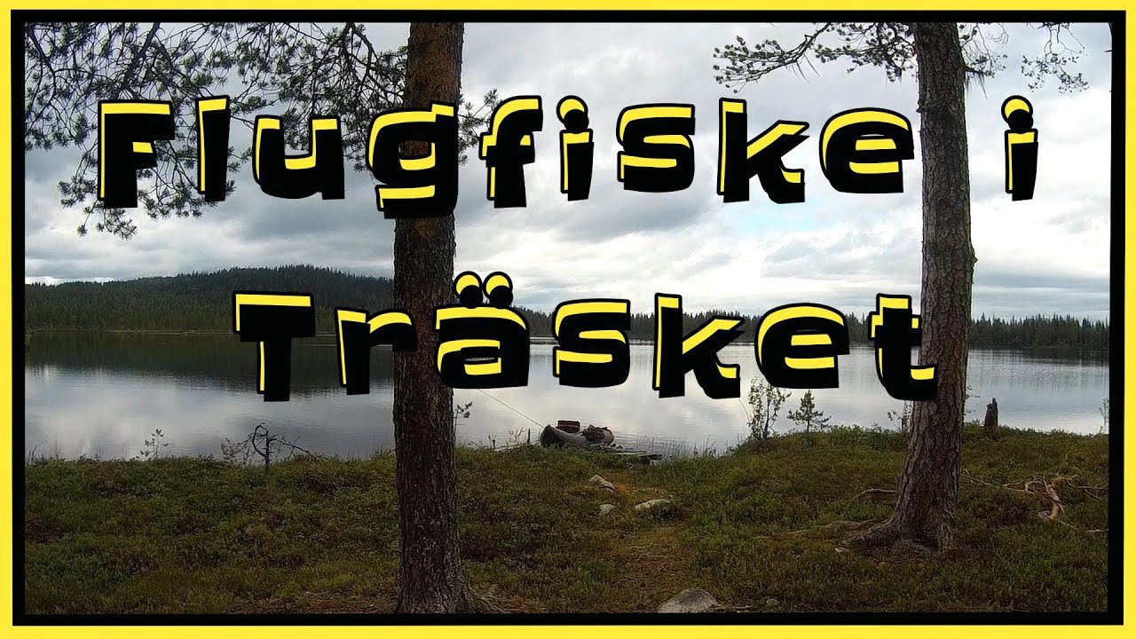 Flugfiske i Gipperträsk - Sorsele (Västerbotten)