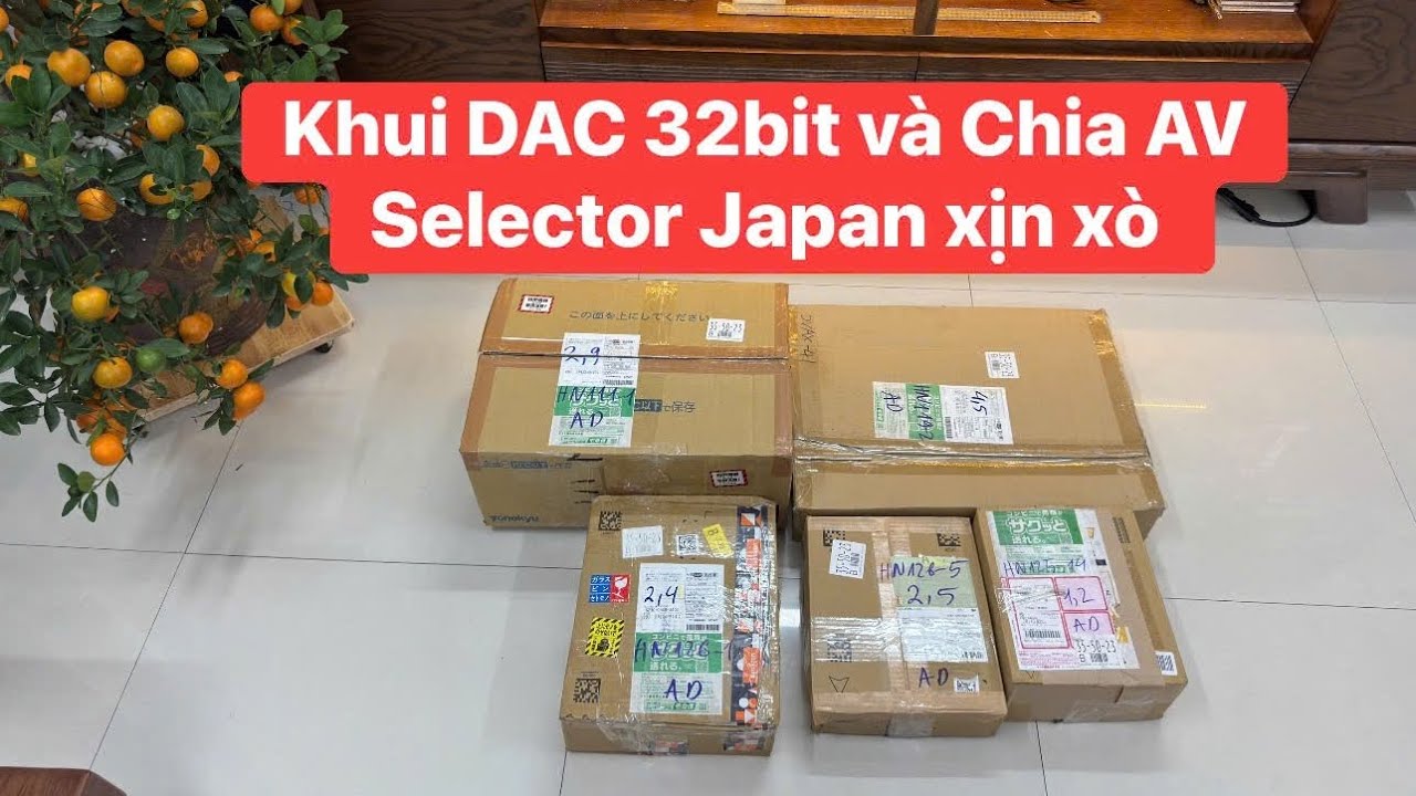 Khui DAC , Chia AV Selector Hàng Bay Japan về giá siêu rẻ ạ #denon #dac #teac #fostex 