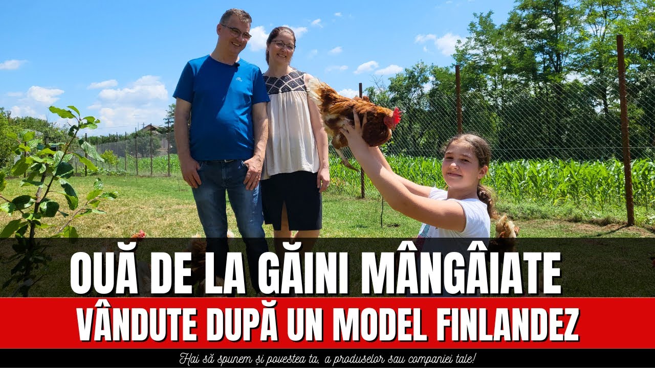 Ouă de la găini mângâiate vândute după un model finlandez / România Văzută Din Tractor