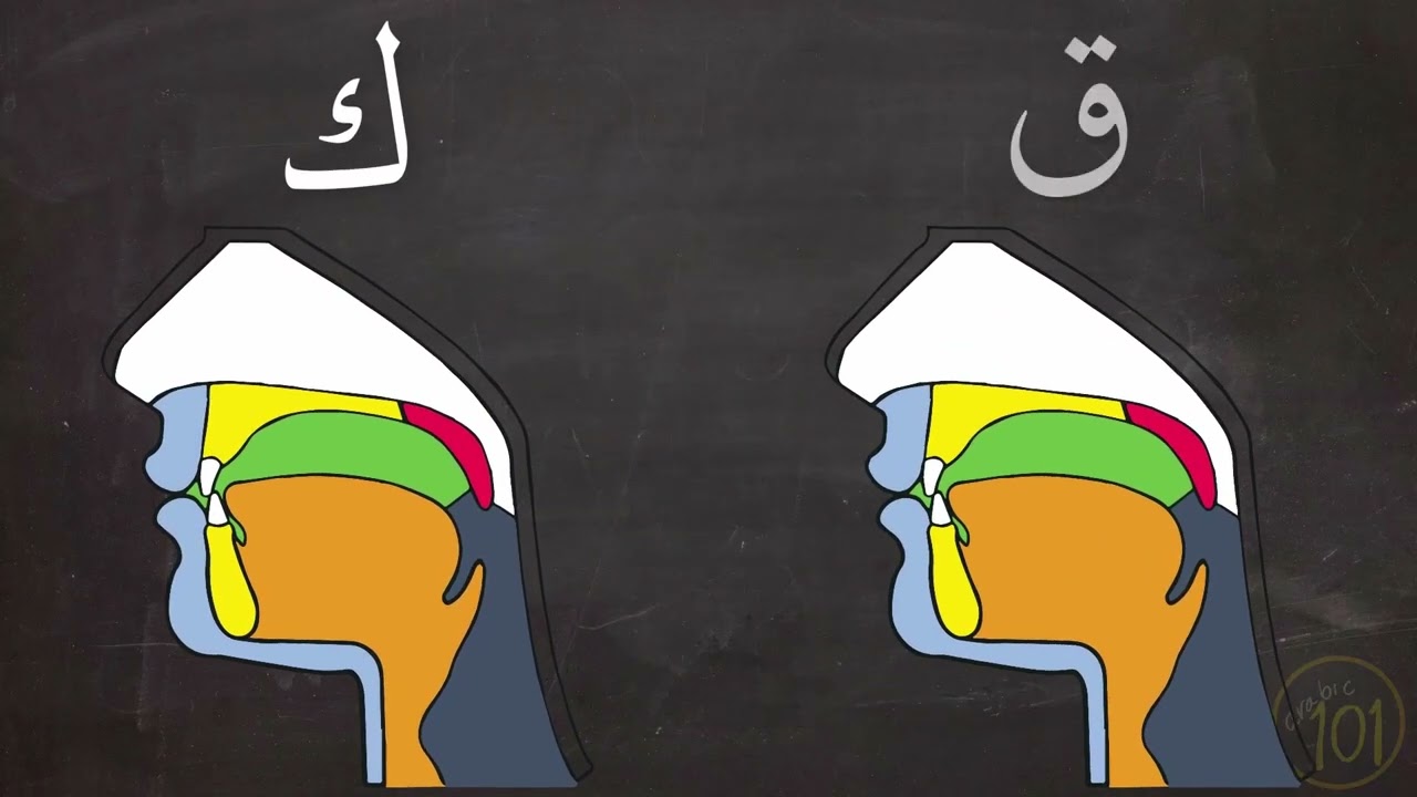 The way It was sent down - Tajweed - Lesson 2 - Makharij and Sifat #ramadan #quran #islam #islamic
