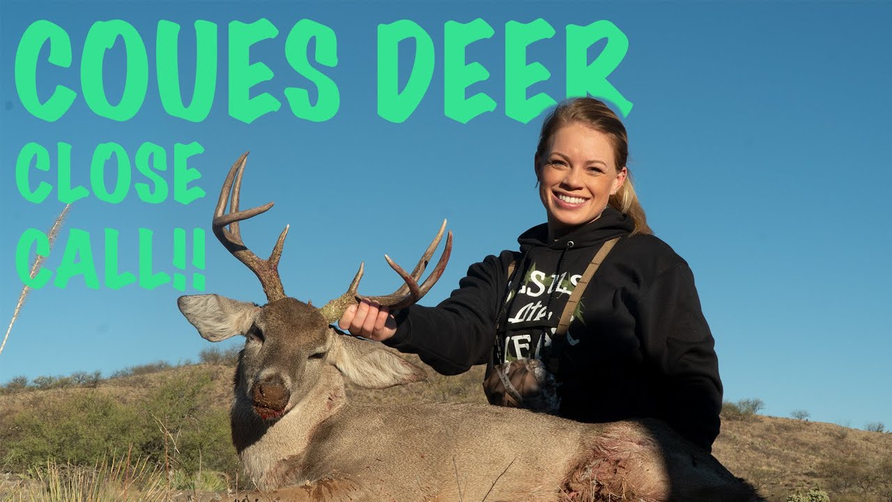 Coues Deer Hunting in Sonora Mexico - CLOSE CALL