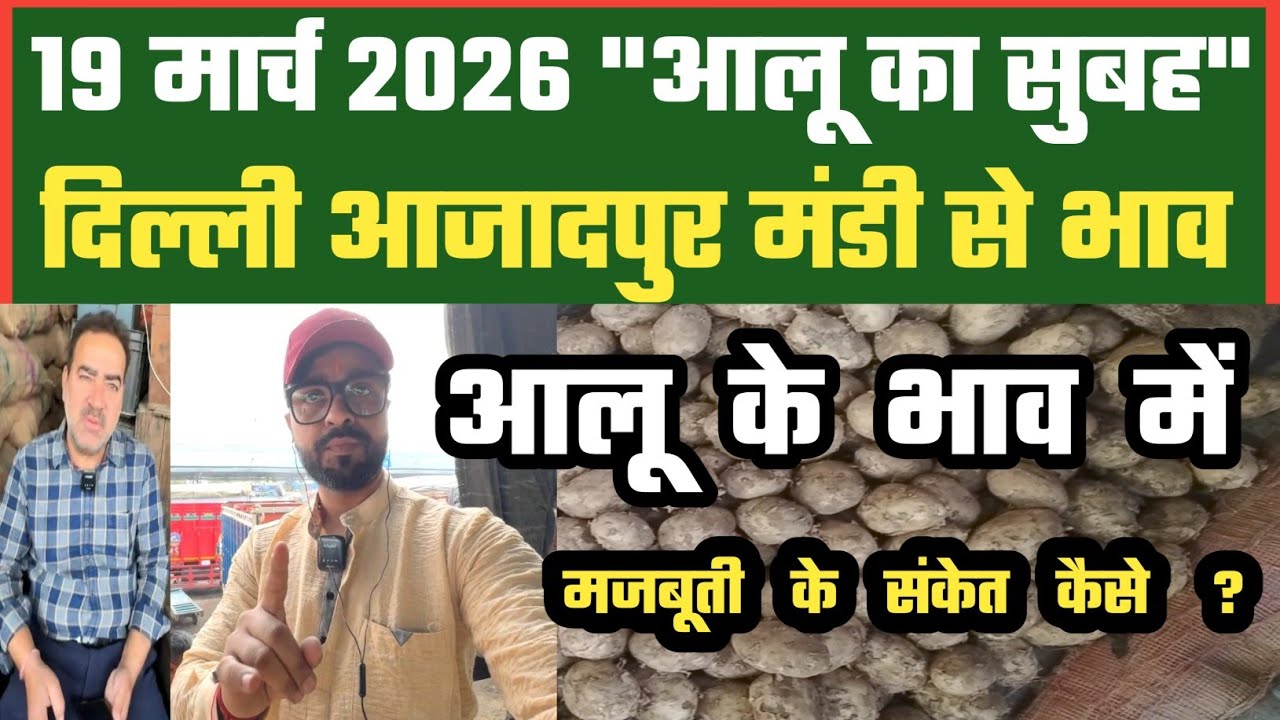 आलू में अब ग्राहकी क्या बनेगी अच्छी, Azadpur Delhi Mandi Today में 19-03-2026 के Onion Price DMT TV