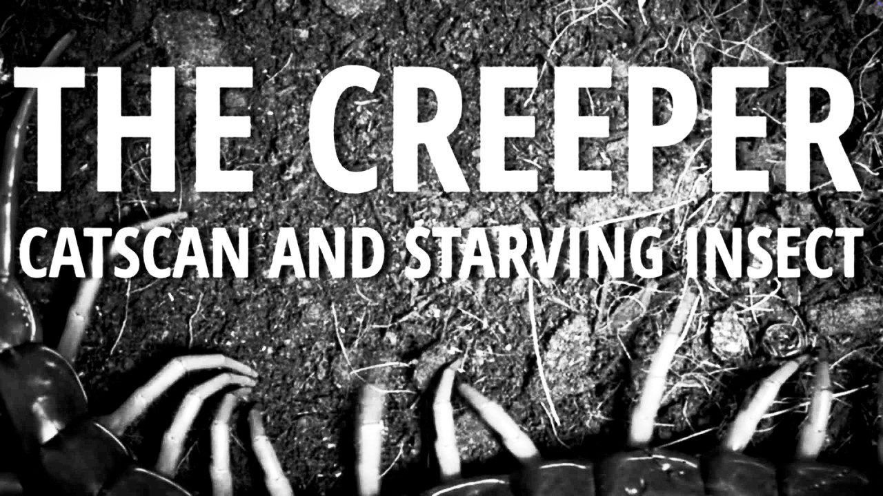 Catscan & Starving Insect - The Creeper (Official Video)