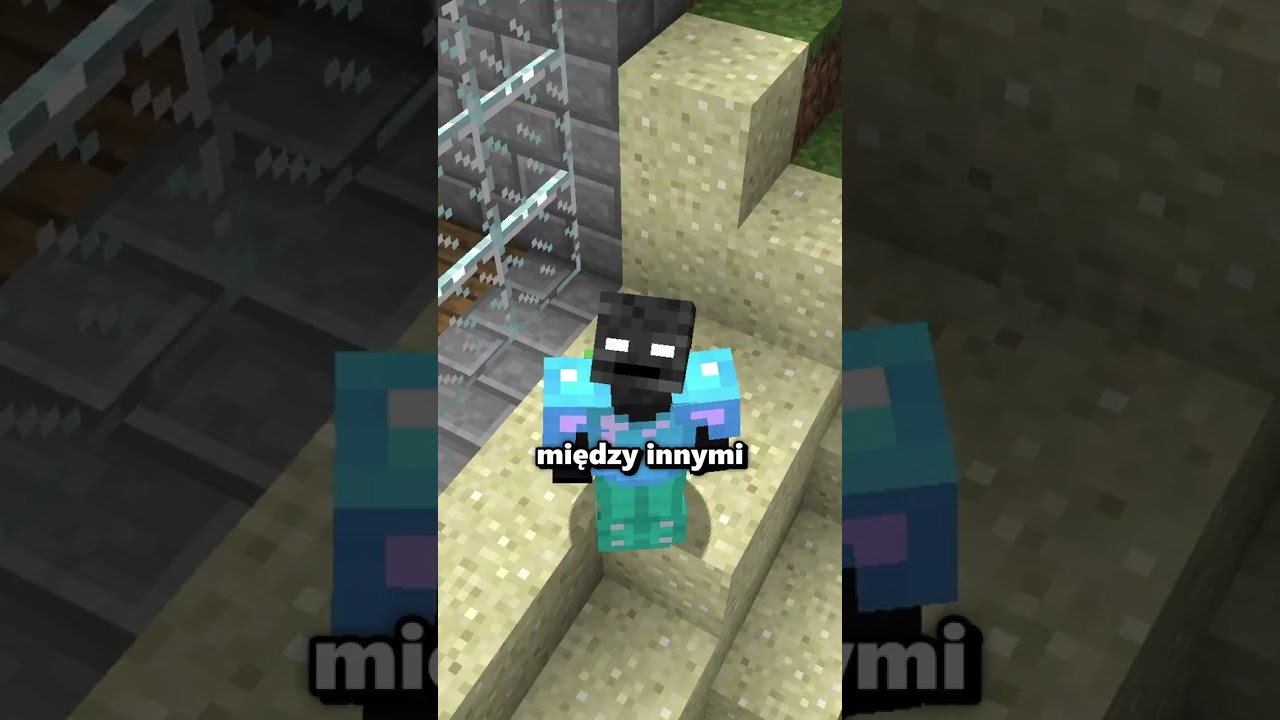ZBUGOWANY BORDER w MINECRAFT!
