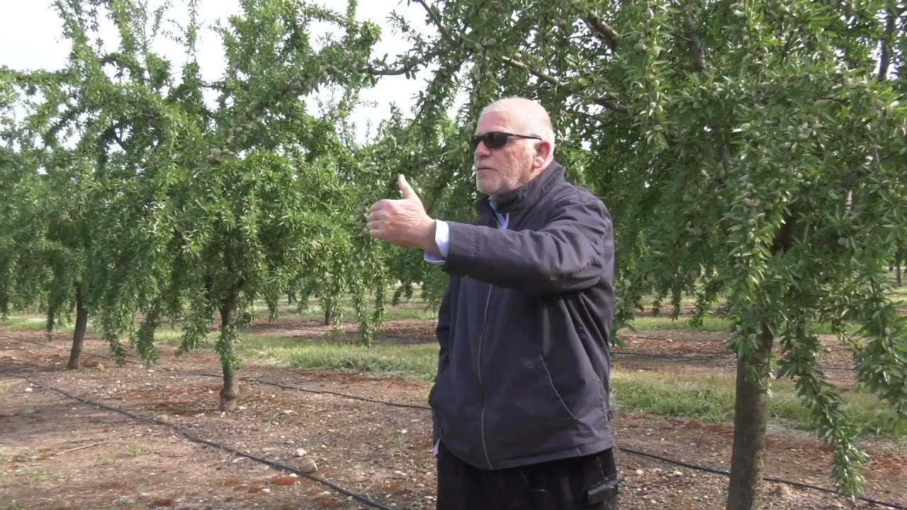 VIII Jornadas de Algarrobo Visita virtual Agronomía