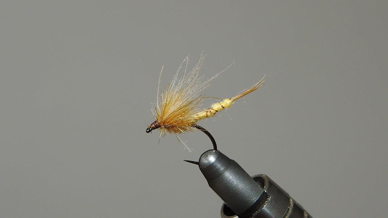 Mouche de mai (Ephemera Danica)