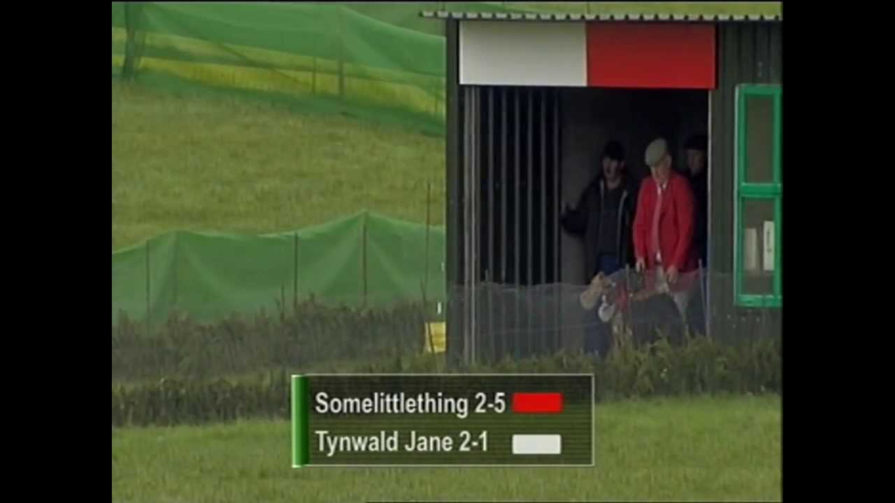 Clonmel Greyhound & Petworld Oaks Final 2014