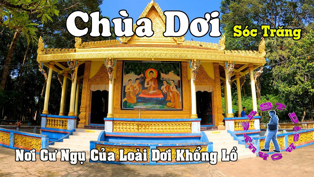 Chùa Dơi Sóc Trăng | Ngôi Chùa Có Nhiều Dơi Khổng Lồ Sinh Sống