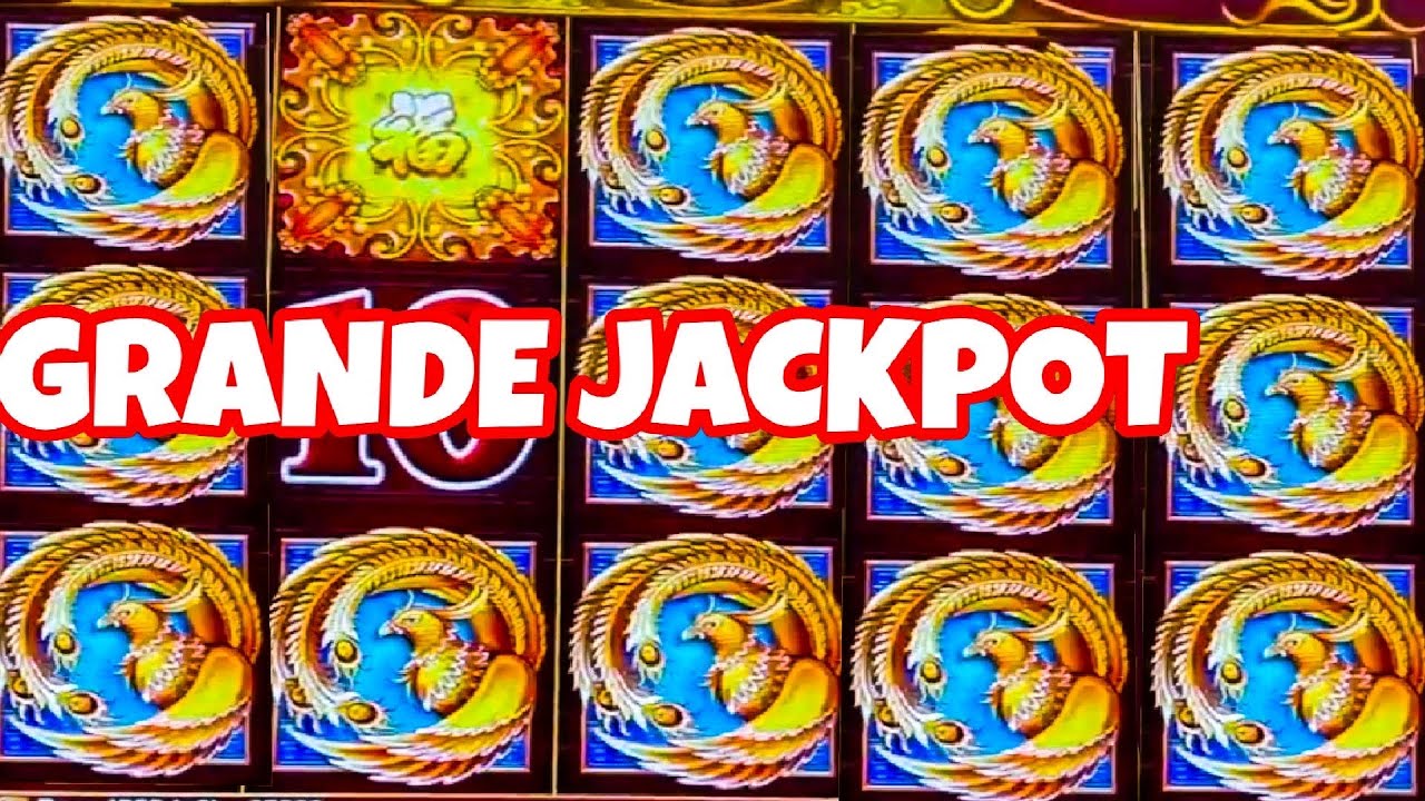 5 TREASURES BIRDS ACROSS THE SCREEN/ HIGH LIMIT $88 BETS / HUGE JACKPOTS