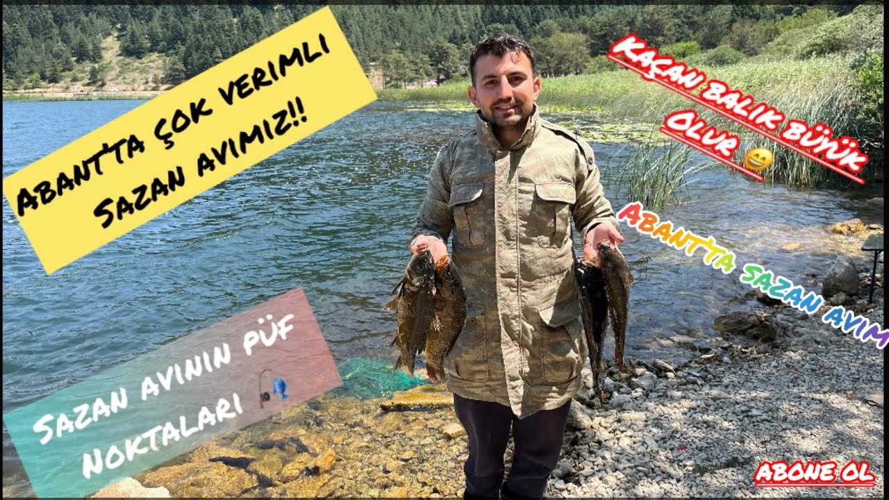 ABANTTA SAZAN AVIMIZ ÇOK VERİMLİ VE GÜZEL Bİ AV OLDU🔥SAZAN AVINA DAİR HER ŞEY BU VİDEODA🔥ABONE OL🔥