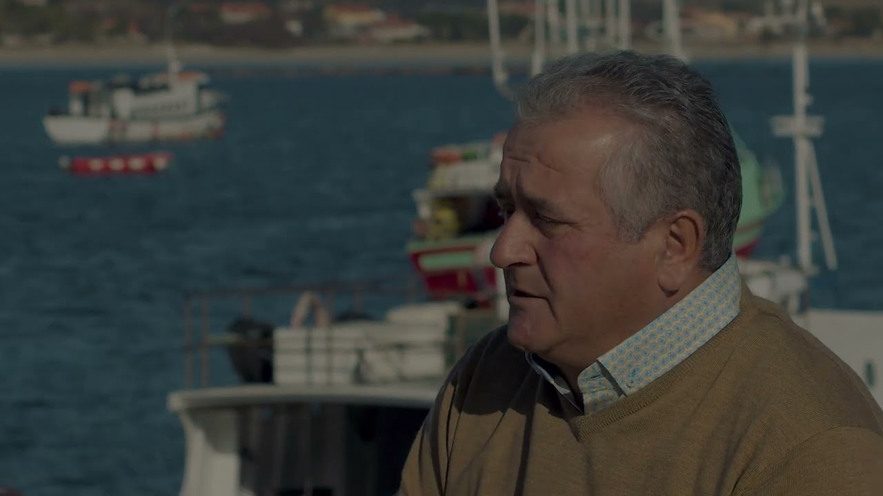 Saúde, diñeiro e amor. Historias do Gran Sol - Gelucho