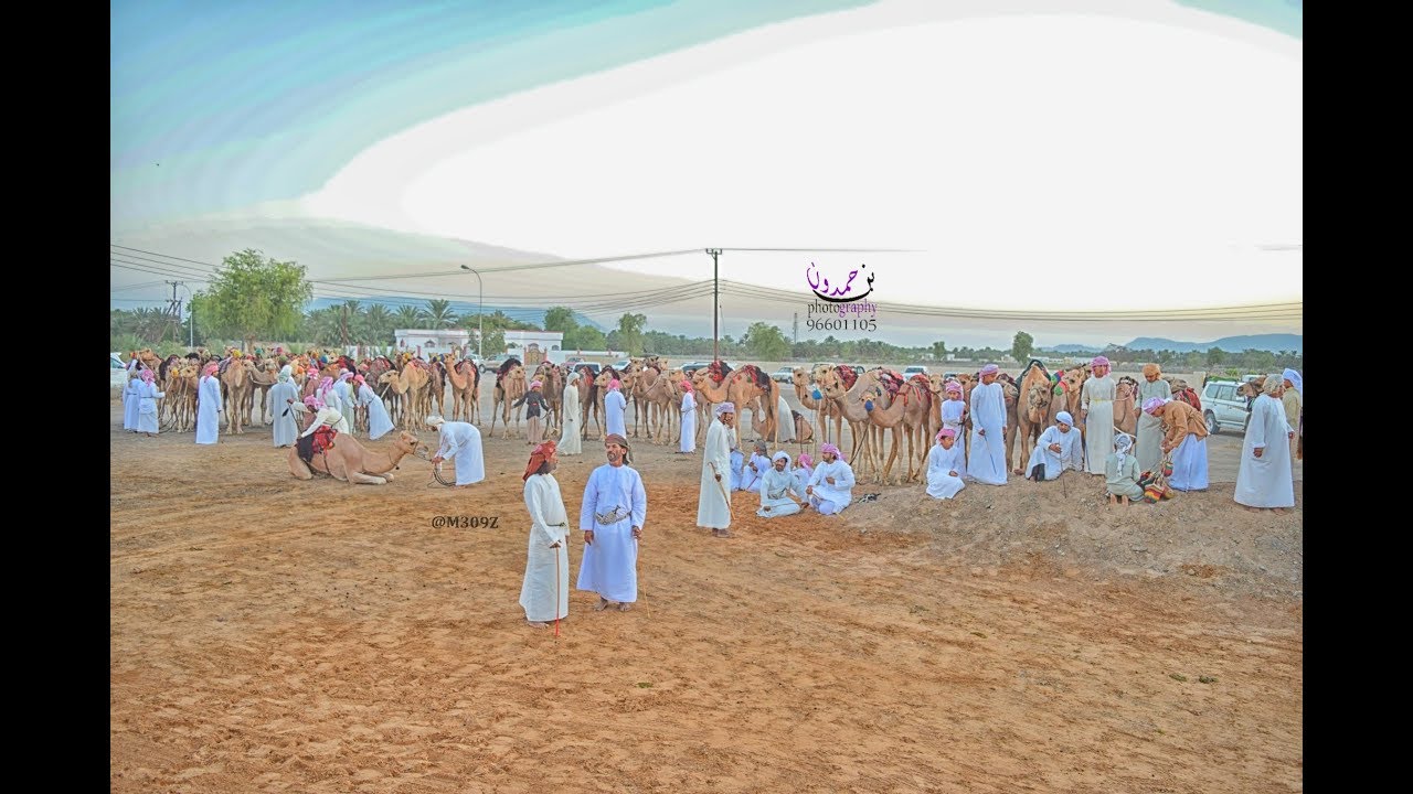 مركاض الزلاهيم  (الابل) الوفي  بتاريخ 30 سبتمبر 2017