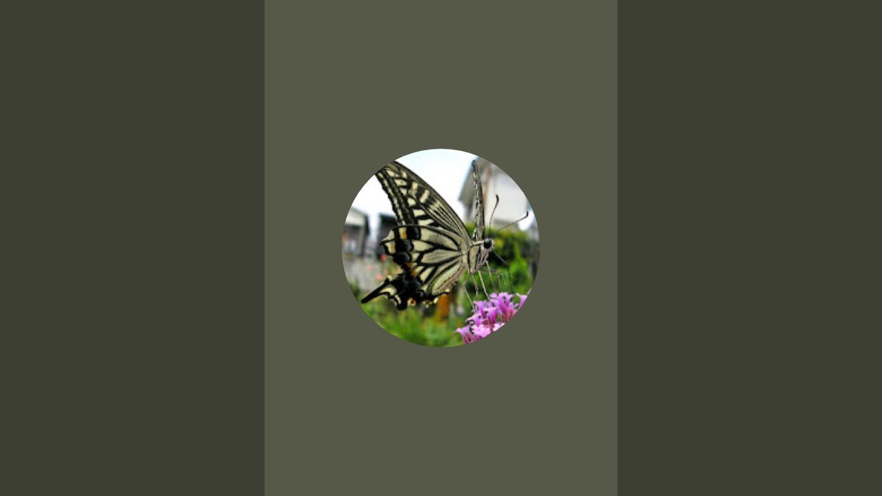 일산 가는 길 입니다