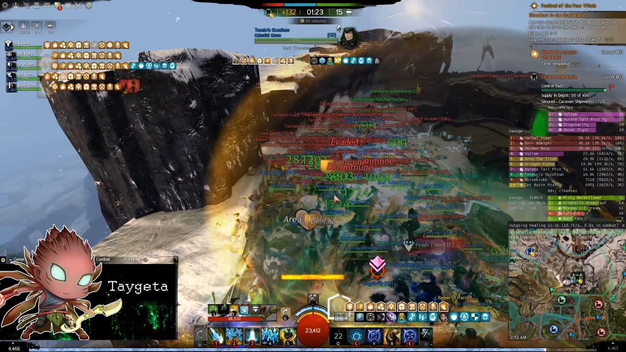GW2 WvW - Healer Druid - Extraordinary Zerg Support