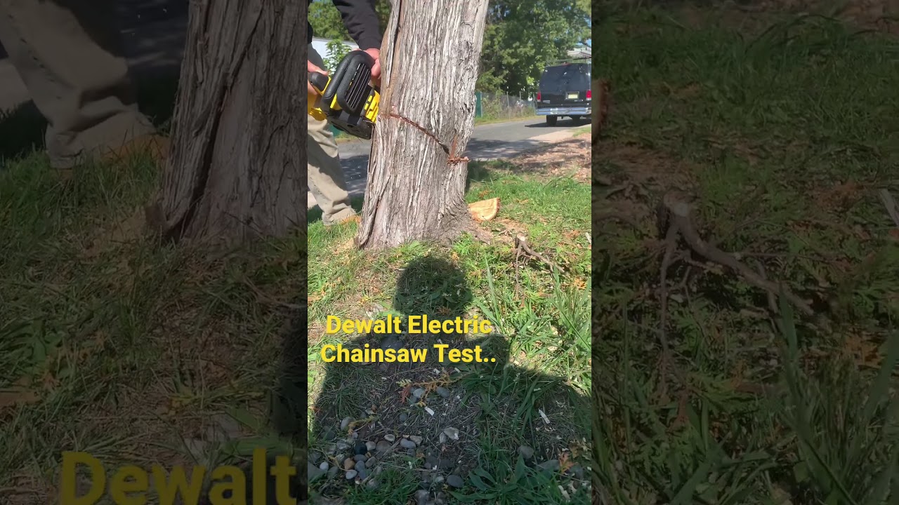 Dewalt electric chainsaw Cutting Tree Review #dewalt #powertools