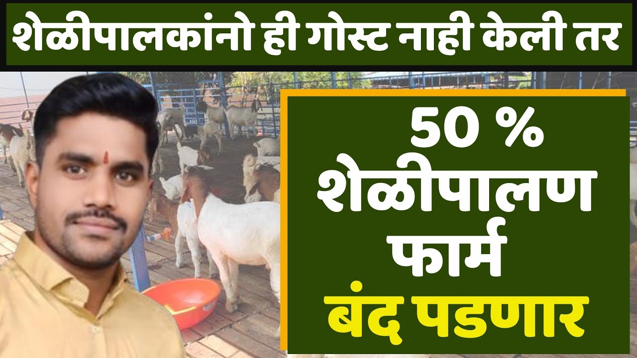 शेळीपालकांनो माझं ऐकणार का? ही गोष्ट करा नाहीतर फार्म बंद पडेल. #शेळीपालन #goat