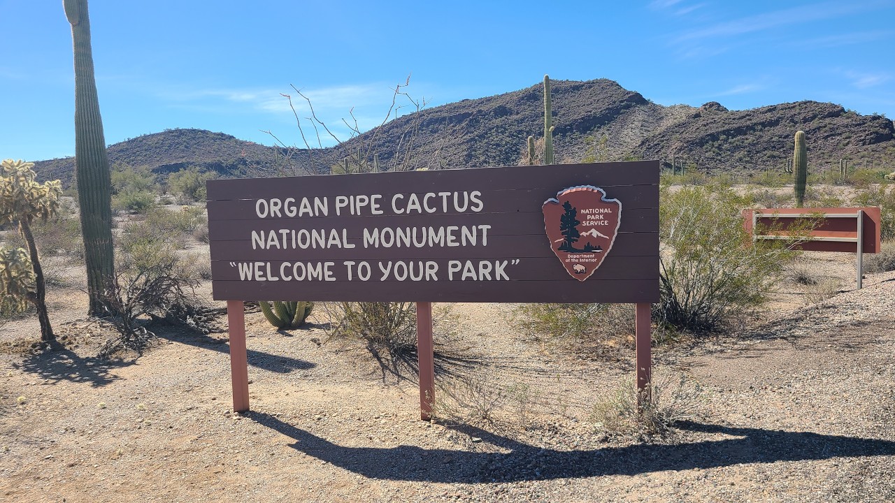 Organ Pipe Cactus National Monument Park
