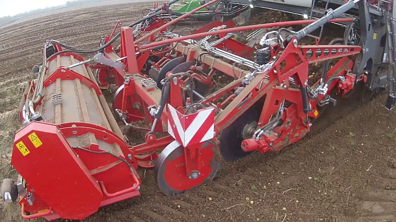 4 row Dewulf harvesting potatoes.