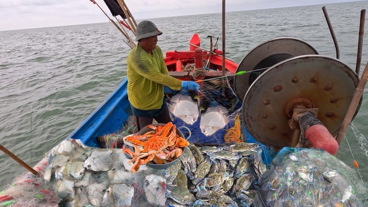 TRÚNG Mẻ Lưới Gần 200kg Cá Bàn Sa Đầu Mùa Gió Bất