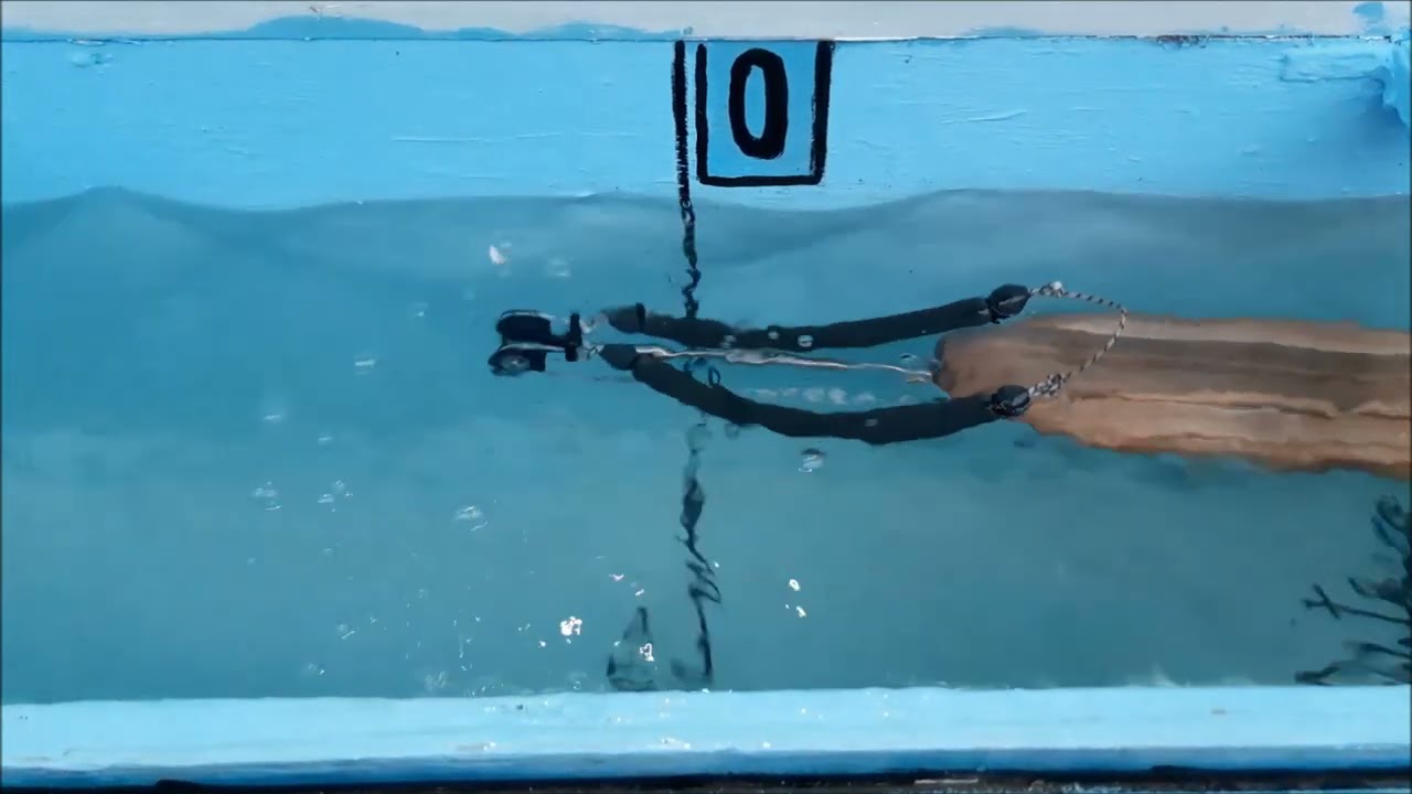 PESCA SUB: Arbalete prototipo. roller invert./oleopneumatico.