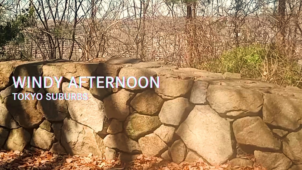 Windy Afternoon in Tokyo Suburbs | Real Japan Soundscape