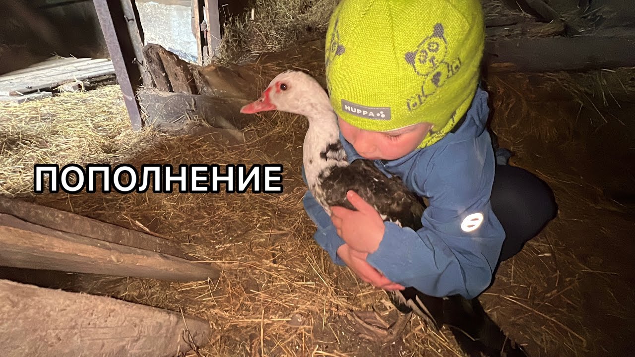 Доделываем ремонт в комнатах. Выбираем двери. В Беларуси это бесплатно!