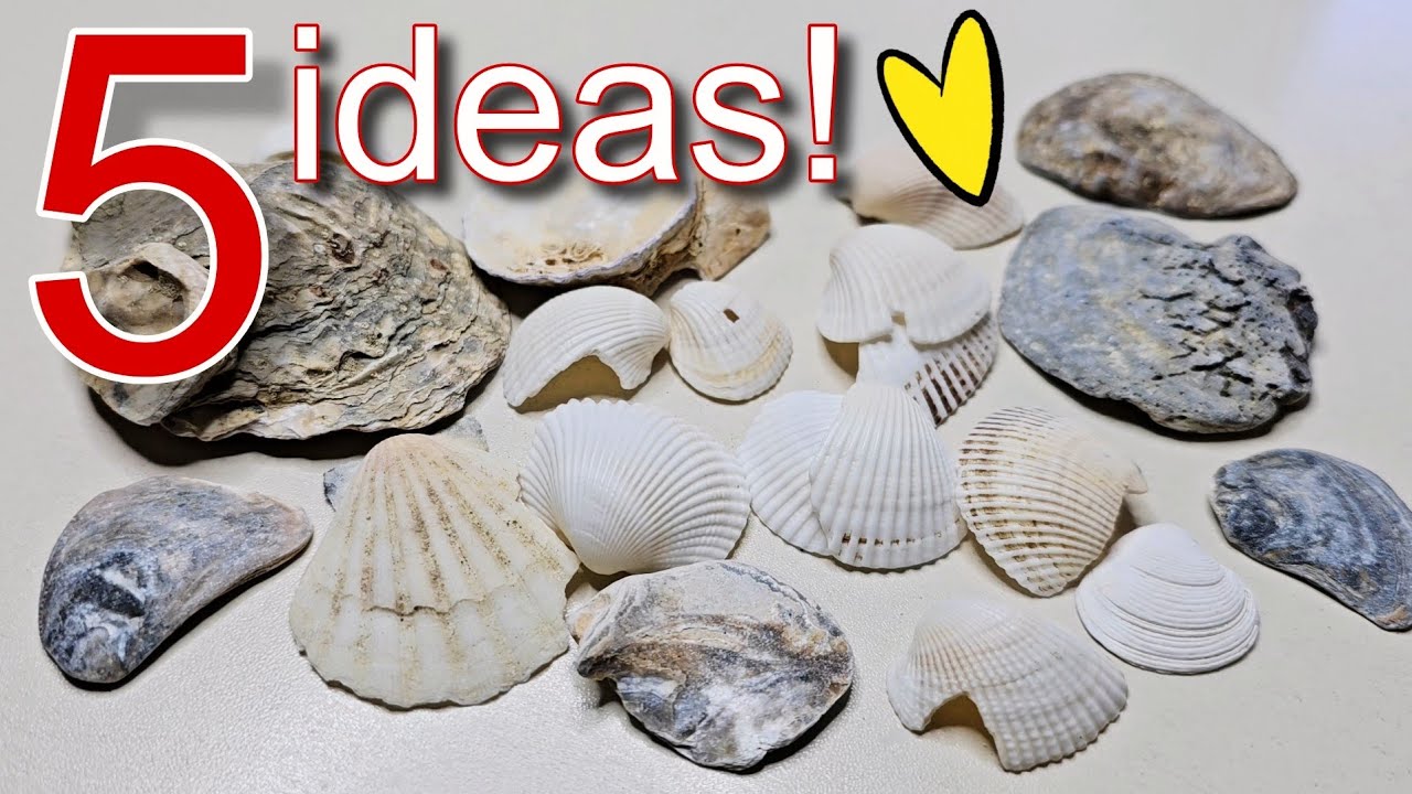 5 отличных идей, которые можно сделать из ракушек ♻️🥰 Посмотрите, что я сделала?