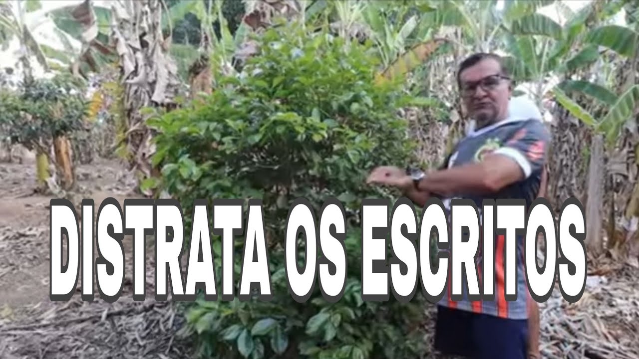 MARCELINO COLATINO É RUDE COM INSCRITOS,   MAS QUANDO .... 