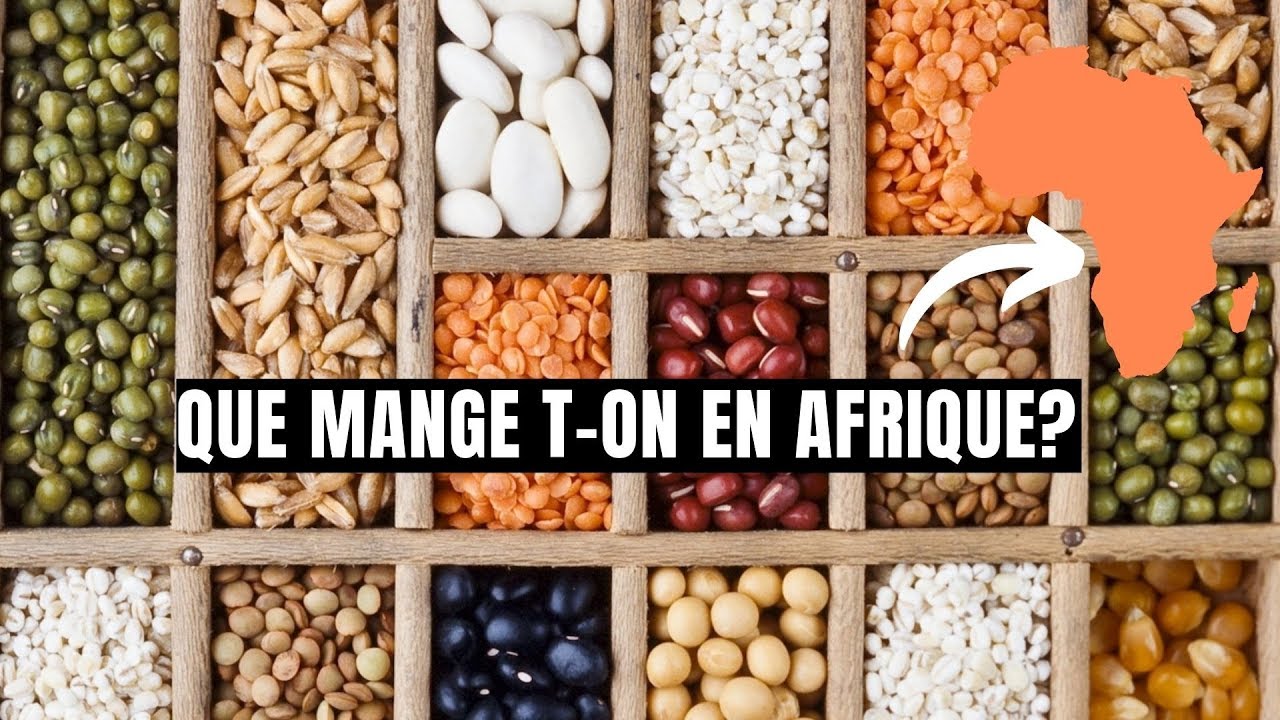 Le Très lucratif Business des semences : L'argent avant la santé et la vie