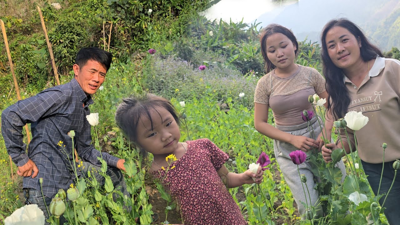 Xav nyob zoo li lub neej thaum is thiaj tsi nyuab siab...7/2/2026