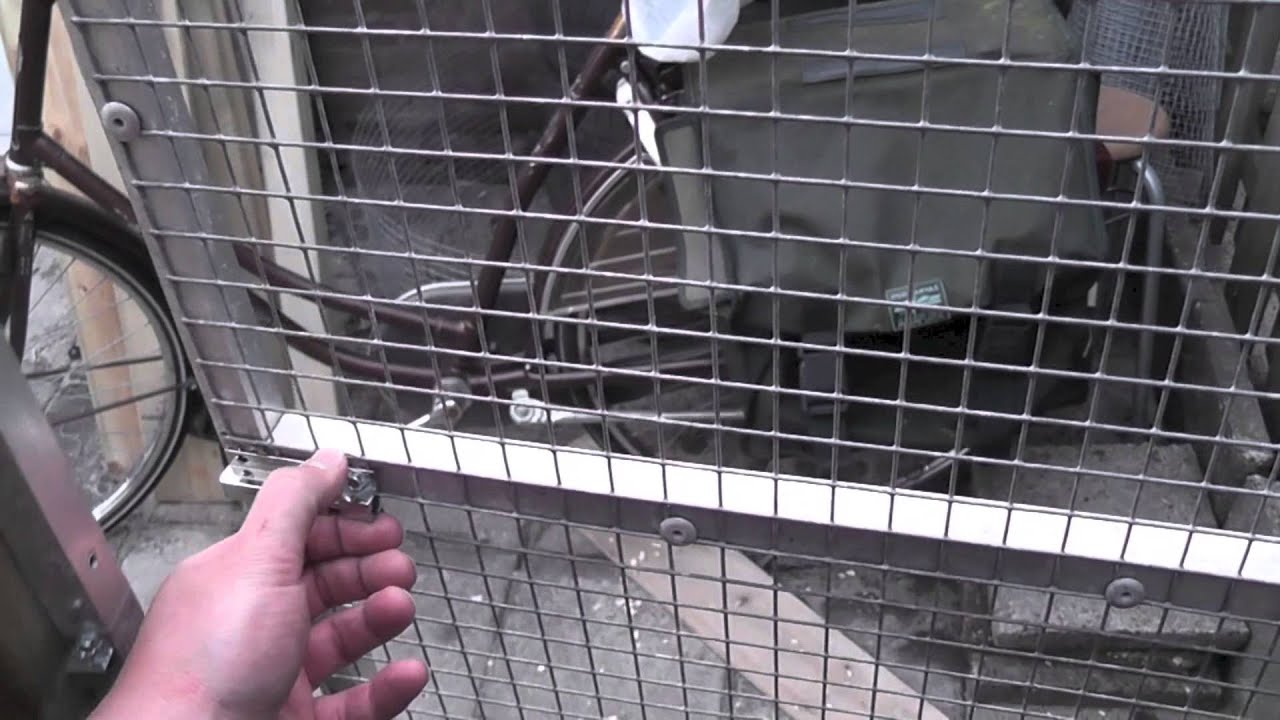 New Canary Aviary