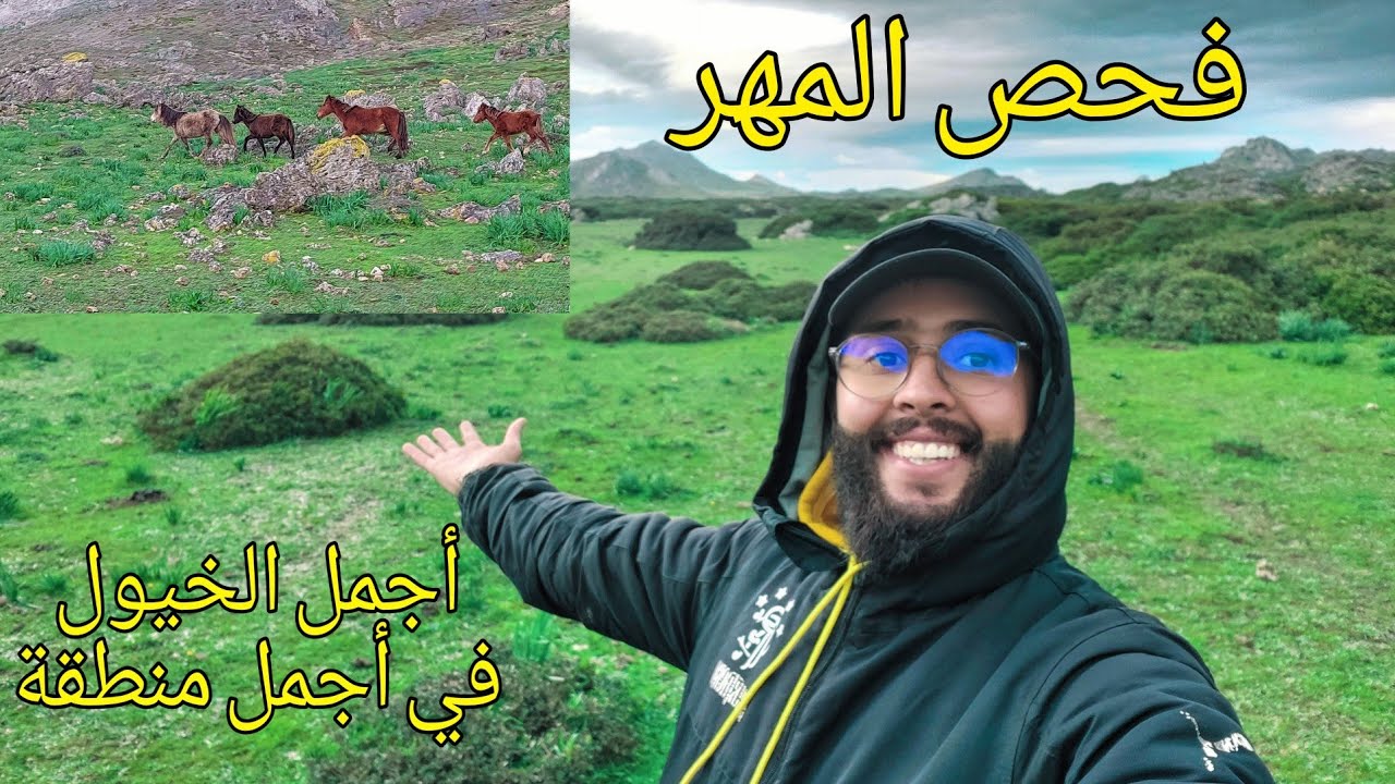 رحلة نحو المجهول : أخيرا وصلت أجمل منطقة خضراء للخيول و البقر | فحص المهر