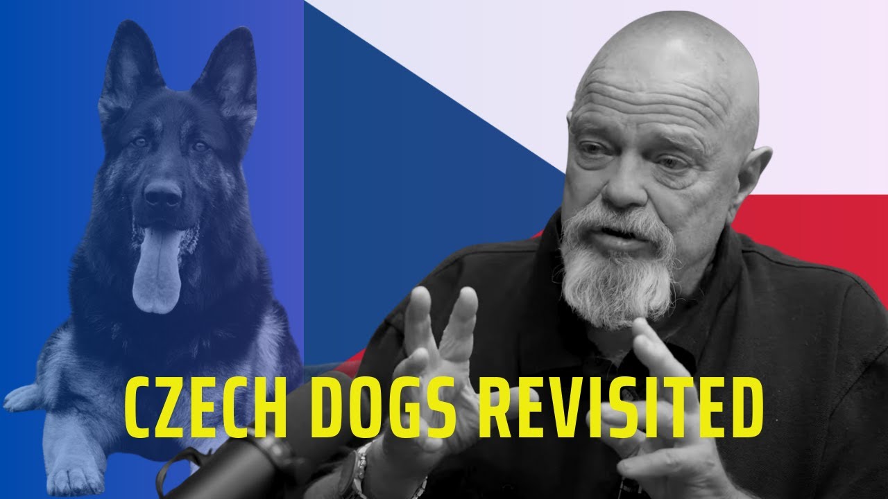 Czech Dogs Revisited