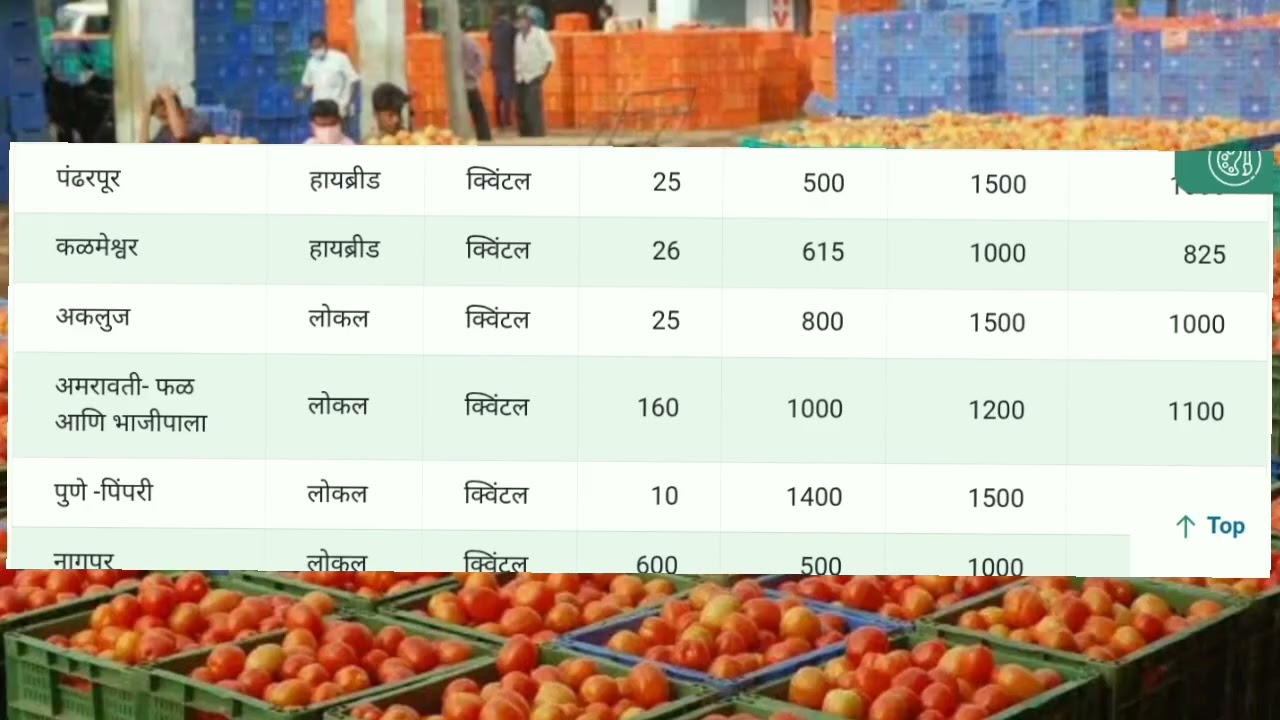 Aajche tomato bajarbhav 4,2,2026 छत्रपती संभाजी नगर, कोल्हापूर, राहुरी, राहता, श्रीरामपूर, नागपूर