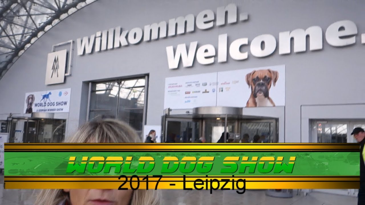 World Dog Show 2017 Leipzig (Welt-Hunde-Ausstellung)