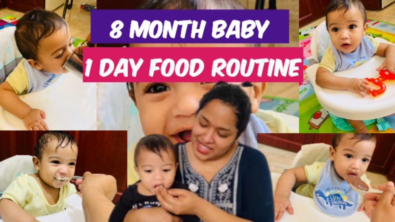 🍲7-8 month baby Food Routine👶🥗/ Geordin’s 1 day food chart