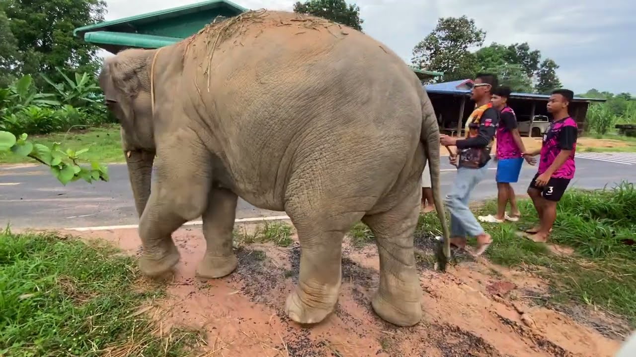 เอาบุญมาฝาก น่ารักอุ้มบุญ