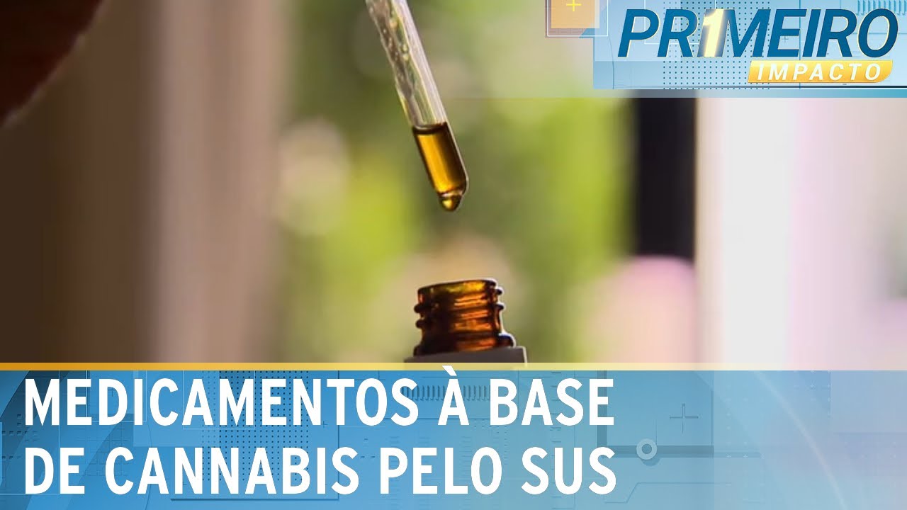 Canabidiol é alternativa para controlar crises de epilepsia | Primeiro Impacto (02/07/24)