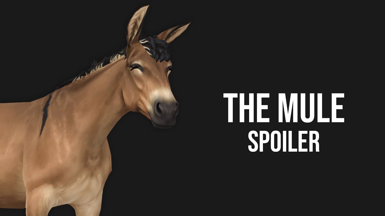 SPOILER - The Mule (Coats, Gaits, Price, In Race) | SSO Secrets