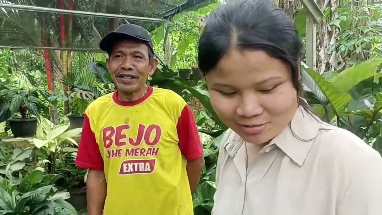 Tugas Vidio Perbanyakan Tanaman Kunjungan Ke Depot Pertanian (Idaman Tani Desa Sukaraja)