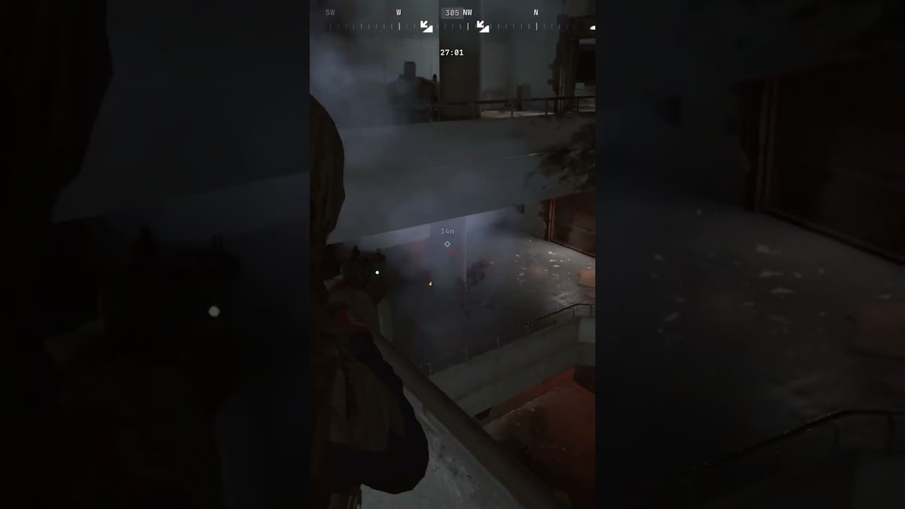 One Shot Two Kills
