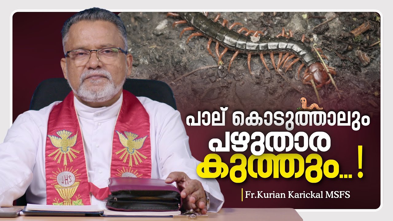നിന്റേത് പഴുതാര സ്വഭാവമോ..? | Karichen