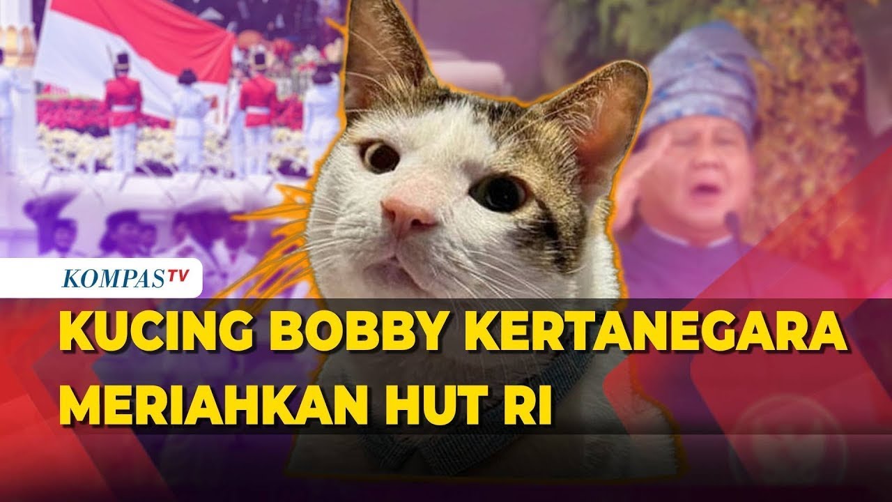 Bobby Kertanegara Kucing Prabowo Meriahkan HUT ke-80 RI