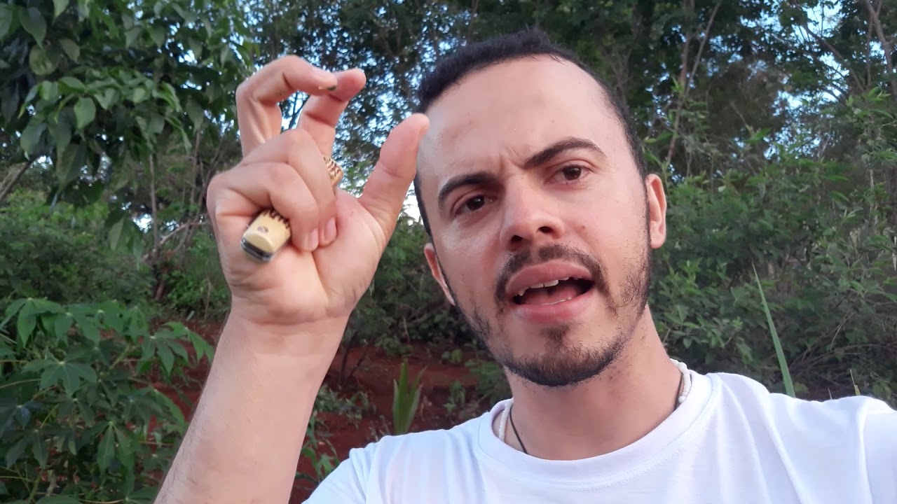 Agroecossistema Diversificado