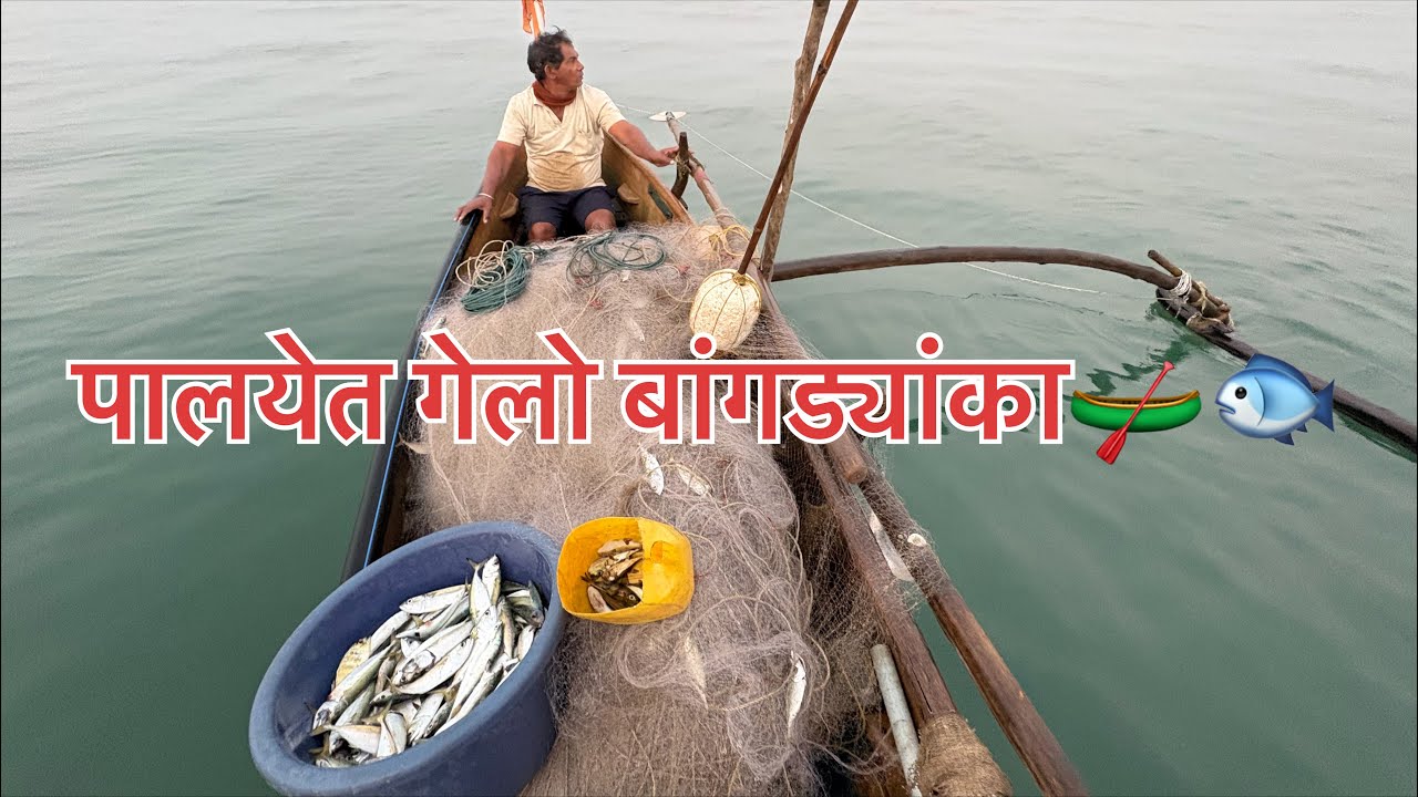 पालयेत केली रात्रीची मासेमारी🛶🐟🌊