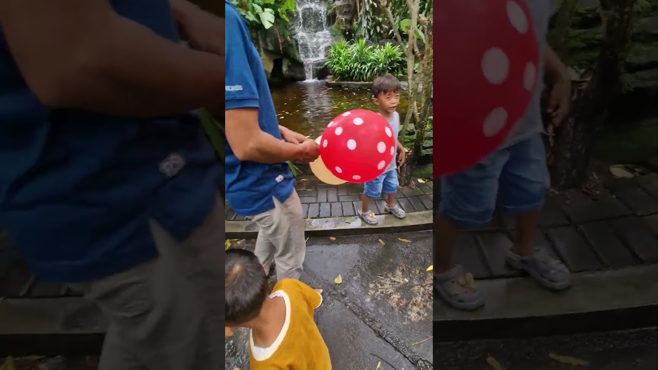 Seru! Mengunjungi Gembira Loka Zoo 