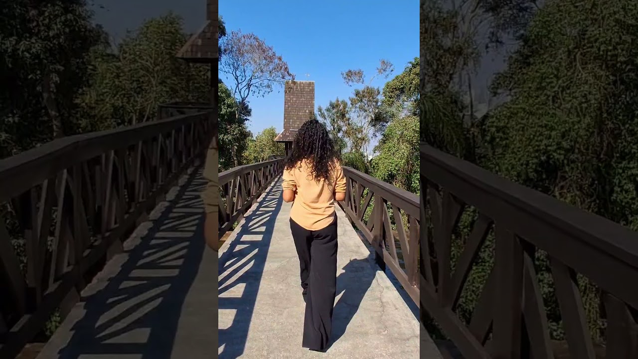 Conhecendo um pouco da &aacute;rea de mata preservada em CURITIBA - PR 🌳