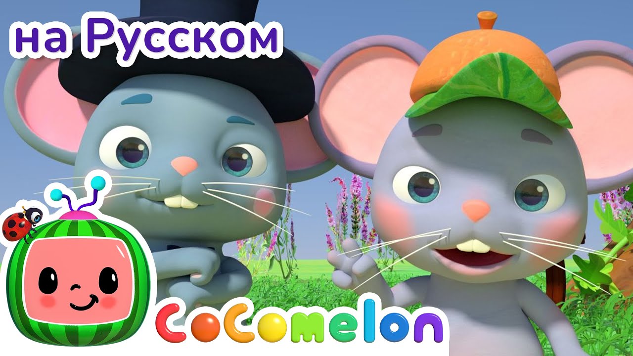 Деревенская мышь и городская | НОВАЯ СЕРИЯ | CoComelon на русском &mdash; Детские песенки